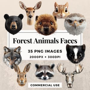 Pack de 35 cliparts de visages d'animaux de la forêt TÉLÉCHARGEMENT IMMÉDIAT 35 illustrations de visages d'animaux mignons, arrière-plan PNG transparent, usage personnel. THS003