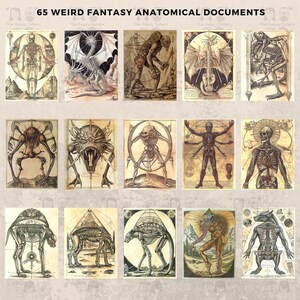 65 Weird Fantasy Anatomical Documents Clipart Pack INSTANT DOWNLOAD 65 