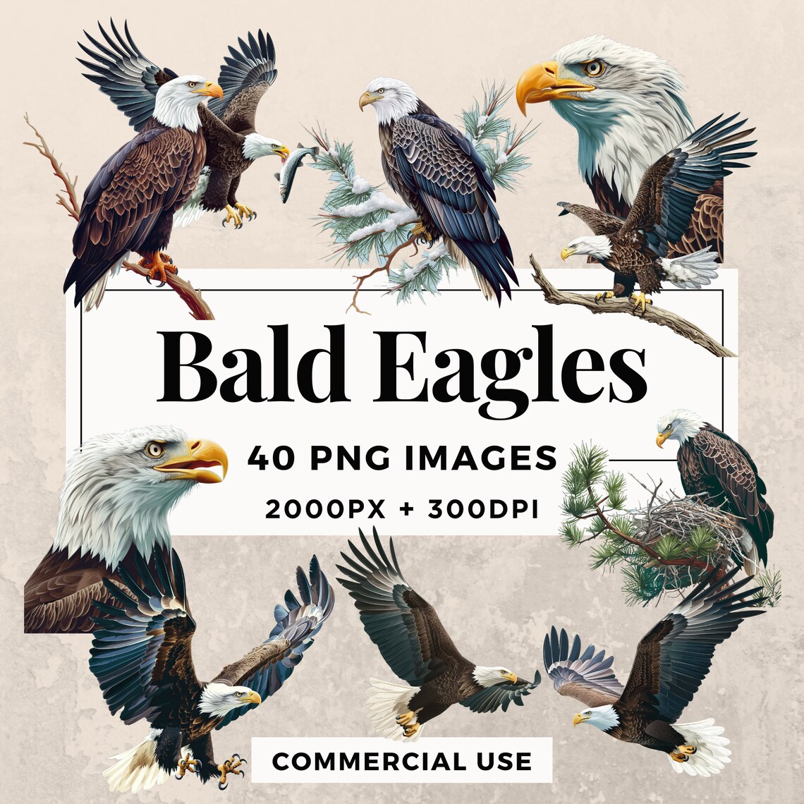 40 Bald Eagles Clipart Pack INSTANT DOWNLOAD Majestic Eagle ...