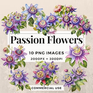 10 Passiebloemen Clipart Pack INSTANT DOWNLOAD 10 prachtige bloemenillustraties, transparante PNG-achtergrond, commercieel gebruik. THS003