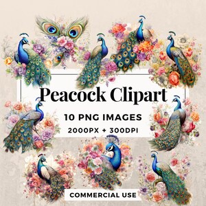 10 Pfau Clipart Pack SOFORTIGER DOWNLOAD 10 Exquisite Pfau Illustrationen, PNG transparenten Hintergrund, persönliche und kommerzielle Nutzung. THS003