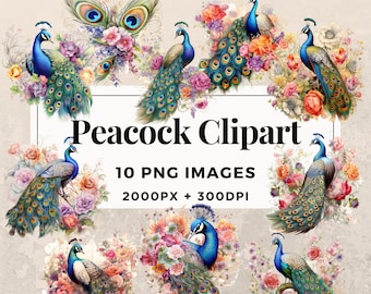 10 Peacock Clipart Pack INSTANT DOWNLOAD 10 Exquisite Peacock Illustrations, PNG Transparent Background, Personal & Commercial Use. THS003