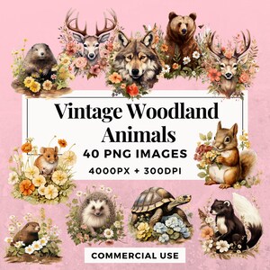 Pacchetto di clipart di 40 animali del bosco vintage DOWNLOAD immediato illustrazioni di animali nostalgici, sfondo PNG trasparente, uso commerciale. THS006
