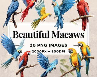 20 Beautiful Macaws Clipart Pack INSTANT DOWNLOAD 20 Vibrant Illustrations of Macaws, PNG Transparent Background, Commercial Use. THS003