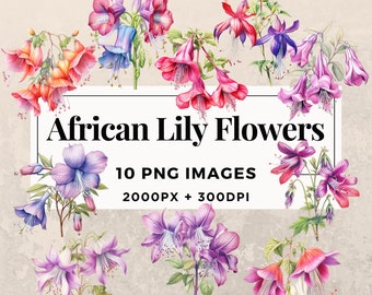 May include: A digital illustration of 10 watercolor African Lily flowers in various shades of pink, purple, and red. The flowers are arranged in a circle around the text "African Lily Flowers", "10 PNG IMAGES", and "2000PX + 300DPI". The text "COMMERCIAL USE" is at the bottom of the image.
