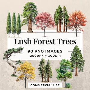 Pack de 90 arbres de la forêt luxuriante de cliparts TÉLÉCHARGEMENT IMMÉDIAT 90 illustrations d'arbres, arrière-plan PNG transparent, usage personnel et commercial. THS003