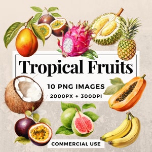 10 Fruits tropicaux Clipart Pack TÉLÉCHARGEMENT INSTANTANÉ 10 Illustrations de fruits, fond transparent PNG, utilisation personnelle et commerciale. THS003