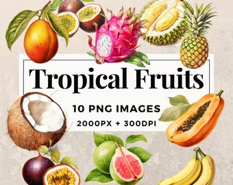 10 Paquete de imágenes prediseñadas de frutas tropicales DESCARGA INSTANTE 10 ilustraciones de frutas, fondo transparente PNG, uso personal y comercial. THS003