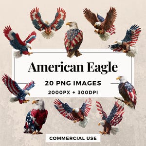 20 American Eagle Clipart Pack INSTANT DOWNLOAD 20 Bald Eagle Illustrations, PNG Transparent Background, Personal and Commercial Use. THS003
