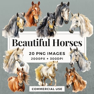 20 Beautiful Horses Clipart Pack INSTANT DOWNLOAD 20 Elegant Horse Illustrations, PNG Transparent Background, Commercial Use. THS001