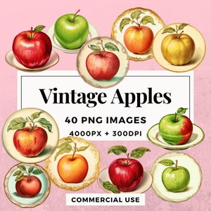 40 Vintage Apples Clipart Pack INSTANT DOWNLOAD Vintage Apple ...