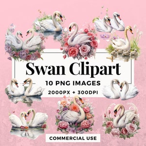 10 Swan Clipart Pack TÉLÉCHARGEMENT INSTANTANÉ 10 Illustrations gracieuses de cygne, fond transparent PNG, utilisation personnelle et commerciale. THS006