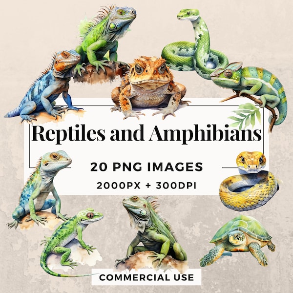 20 Reptiles and Amphibians Clipart Pack - Instant Download, PNG Images, Transparent Background, Personal & Commercial Use. THS003