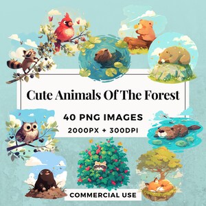 Pack de 40 cliparts animaux mignons de la forêt TÉLÉCHARGEMENT IMMÉDIAT 40 illustrations adorables, arrière-plan PNG transparent, usage commercial. THS004