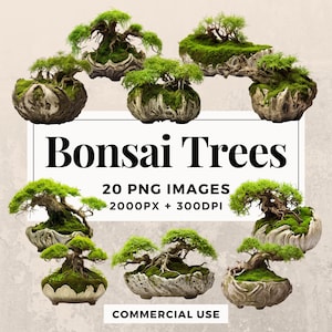 May include: A collection of 20 bonsai trees in various sizes and styles, each potted in a unique ceramic container. The trees are all green and healthy, with lush foliage. The image is set against a light beige background. Bonsai Trees 20 PNG IMAGES 2000PX + 300DPI COMMERCIAL USE