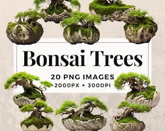 20 Bonsai Trees Clipart Pack INSTANT DOWNLOAD 20 Artistic Illustrations of Bonsai Trees, PNG Transparent Background, Commercial Use. THS003