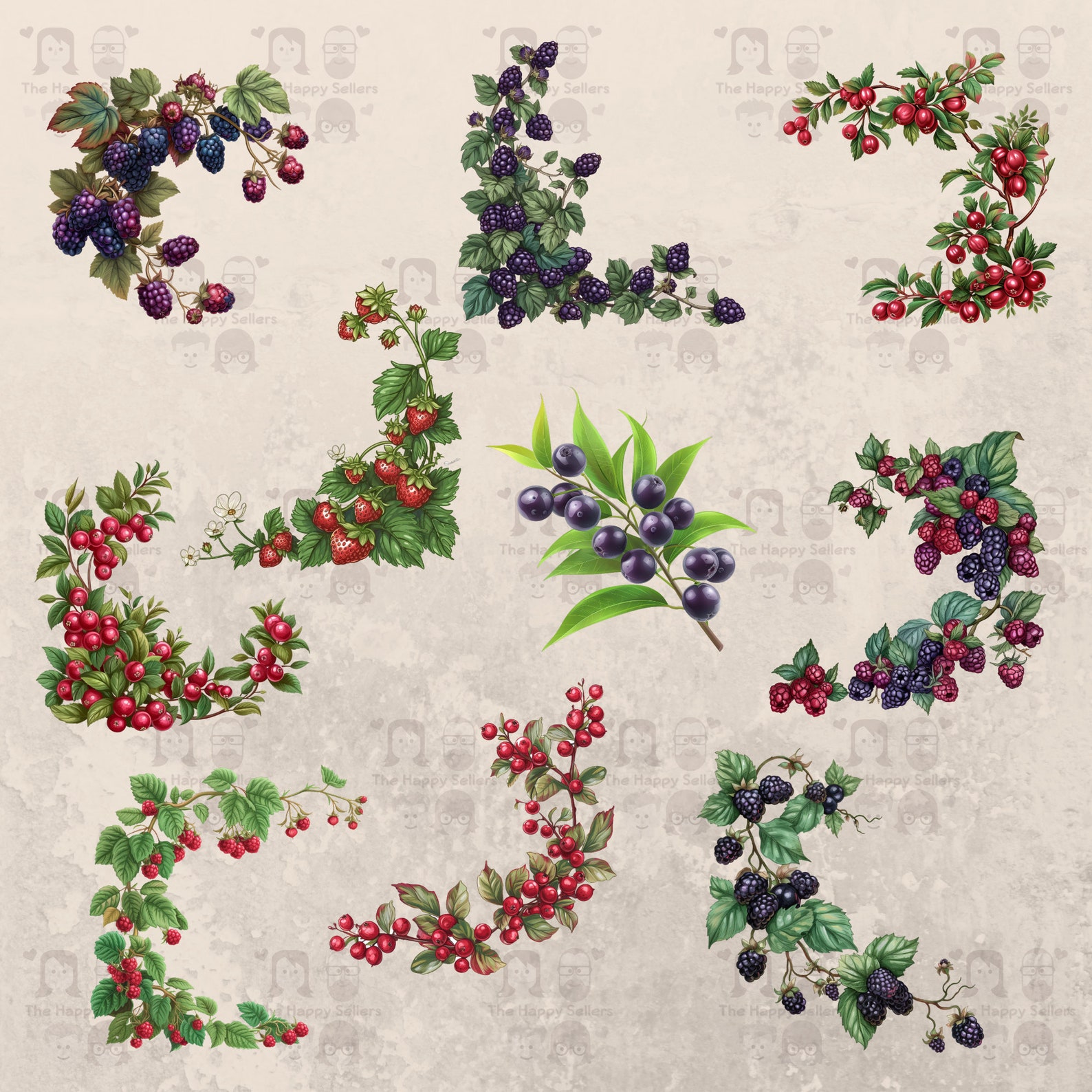 30 Berries Corner Design Clipart Pack INSTANT DOWNLOAD 30 Delightful ...