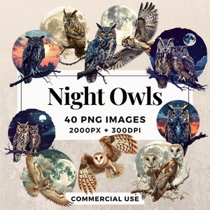 40 Night Owls Clipart Pack DESCARGA INSTANTE 40 Ilustraciones de Night Owl, Fondo transparente PNG, Uso personal y comercial. THS003