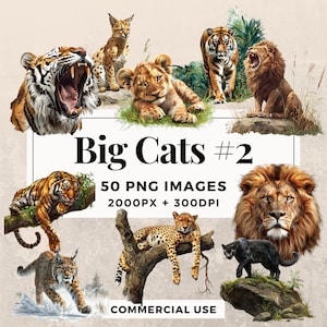 50 匹の大きな猫 #2 クリップアート パック 即時ダウンロード 50 匹の雄大な大きな猫のイラスト、PNG 透明背景、商用利用。THS003