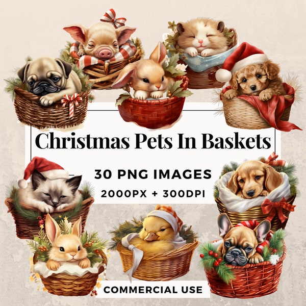 30 Christmas Pets in Baskets Clipart Pack INSTANT DOWNLOAD 30 Festive Pet Illustrations, PNG Transparent Background, Commercial Use. THS003