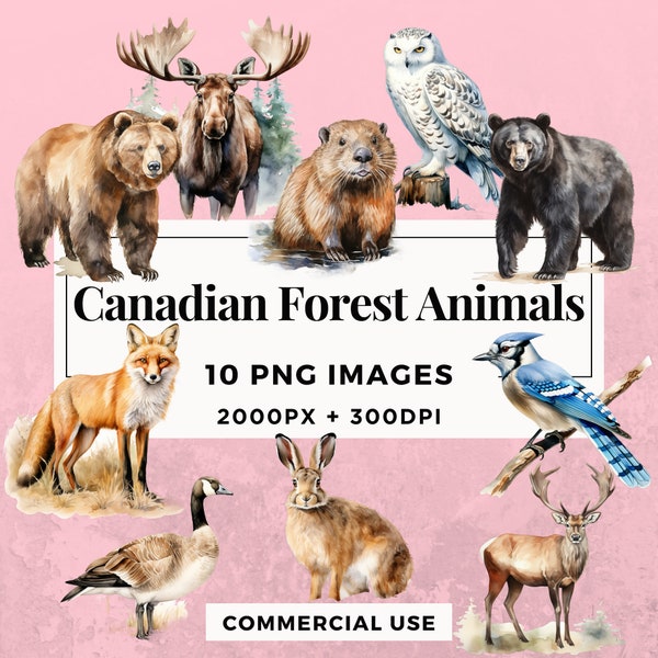 Paquete de imágenes prediseñadas de 10 animales del bosque canadiense: descarga instantánea, imágenes PNG, fondo transparente, uso personal y comercial. THS006