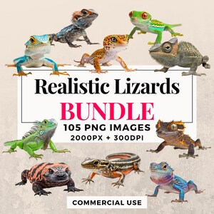 May include: A collection of 105 realistic lizard images in PNG format. The images are 2000 pixels wide and 300 DPI. The lizards are in various poses and colors, including green, blue, brown, and red. The text "Realistic Lizards Bundle 105 PNG Images 2000px + 300dpi Commercial Use" is displayed on a white background.