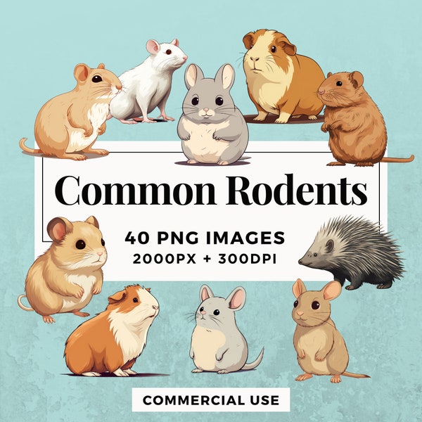 40 Common Rodents Clipart Pack INSTANT DOWNLOAD 40 Adorable Rodent Illustrations, PNG Transparent Background, Commercial Use. THS004