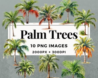 10 Palm Trees Clipart Pack INSTANT DOWNLOAD 10 Tropical Palm Tree Illustrations, PNG Transparent Background, Commercial Use. THS001