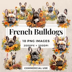 10 French Bulldogs Clipart Pack INSTANT DOWNLOAD 10 French Bulldog Illustrations, PNG Transparent Background, Commercial Use. THS003