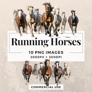 10 Running Horses Clipart Pack INSTANT DOWNLOAD 10 Horse Illustrations, PNG Transparent Background, Personal & Commercial Use. THS003