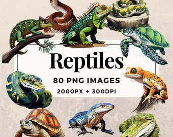 May include: A collection of 80 reptile illustrations, including a green iguana, a green snake, a brown snake, a green turtle, a red and orange gecko, a blue lizard, a brown turtle, and a green alligator. The illustrations are in a cartoon style and are set against a beige background. The text "Reptiles 80 PNG Images 2000px + 300dpi Commercial Use" is displayed in the center of the image.