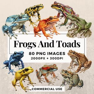 Pack de 80 cliparts grenouilles et crapauds TÉLÉCHARGEMENT IMMÉDIAT 80 illustrations d'amphibiens charmants, arrière-plan PNG transparent, usage commercial. THS003