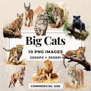 10 匹の大型猫のクリップアート パック 即時ダウンロード 10 匹の雄大な大型猫のイラスト、PNG 透明背景、個人および商業利用。THS003
