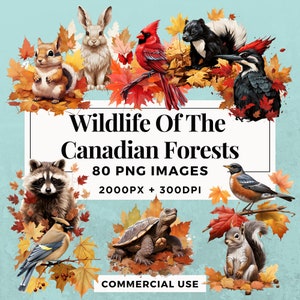 80 Paquete de imágenes prediseñadas de vida silvestre de los bosques canadienses DESCARGA INSTANTE, fondo transparente PNG, uso personal y comercial. THS004