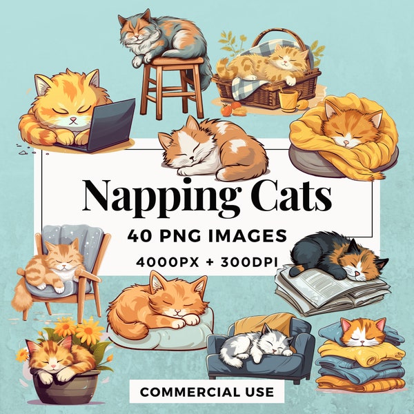 40 Paquete de imágenes prediseñadas de gatos siestas DESCARGA INSTANTE 40 ilustraciones acogedoras de siesta para gatos, fondo transparente PNG, uso personal y comercial. THS004