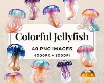 40 Paquete de imágenes prediseñadas de medusas de colores DESCARGA INSTANTE 40 Ilustraciones de medusas vibrantes, fondo transparente PNG, uso comercial. THS003