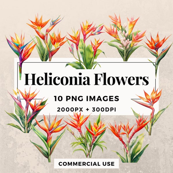 10 Heliconia Flowers Clipart Pack INSTANT DOWNLOAD 10 Floral Illustrations, PNG Transparent Background, Personal & Commercial Use. THS003