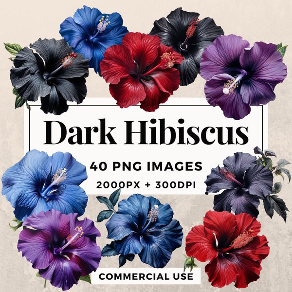 40 Dark Hibiscus Clipart Pack INSTANT DOWNLOAD 40 Elegant Hibiscus Illustrations, PNG Transparent Background, Commercial Use. THS003