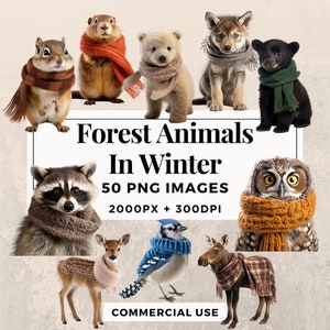 50 bosdieren in de winter clipart pack INSTANT DOWNLOAD 50 winterdierenillustraties, transparante PNG-achtergrond, commercieel gebruik. THS003