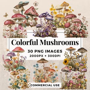 30 Colorful Mushrooms Clipart Pack DOWNLOAD IMMEDIATO 30 illustrazioni di funghi vivaci, sfondo trasparente PNG, uso commerciale. THS003