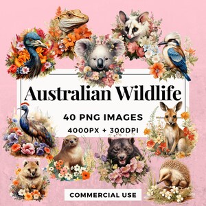 40 Australische Wildlife Clipart Pack INSTANT DOWNLOAD 40 Australische dierenillustraties, transparante PNG-achtergrond, commercieel gebruik. THS006
