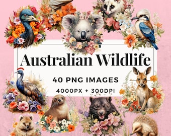 May include: A collection of 40 PNG images featuring Australian wildlife, including a koala, kangaroo, echidna, kookaburra, and more. Each image is 4000px by 3000dpi and is available for commercial use.