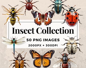 50 Insect Collection Clipart Pack INSTANT DOWNLOAD 50 Intricate Insect Illustrations, PNG Transparent Background, Commercial Use. THS003
