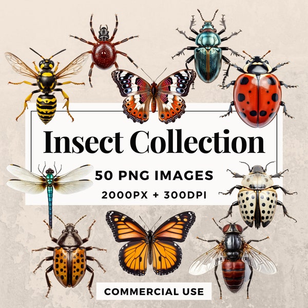 50 Insect Collection Clipart Pack INSTANT DOWNLOAD 50 Intricate Insect Illustrations, PNG Transparent Background, Commercial Use. THS003