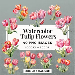 40 aquarel tulpenbloemen clipart pack INSTANT DOWNLOAD 40 bloemenillustraties, transparante PNG-achtergrond, commercieel gebruik. THS001