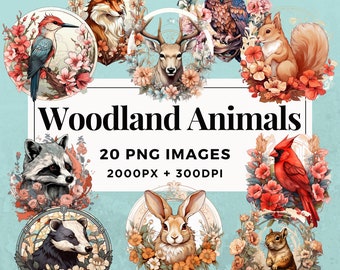 20 Woodland Animals Clipart Pack INSTANT DOWNLOAD 20 Woodland Animal Illustrations, PNG Transparent Background, Commercial Use. THS004