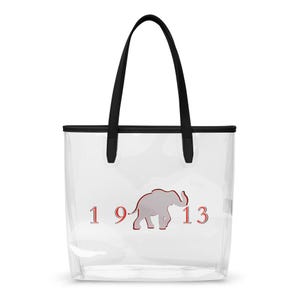 Delta Sigma Theta Clear Tote