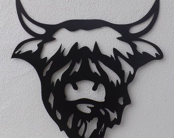 Highland Cow, Hairy Cow Head