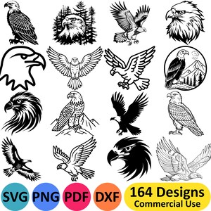 Pacote SVG de águia imagens vetoriais de aves de rapina para download, modelo de estêncil de cabeça de águia americana para impressão, png de animal voador, pássaro em voo pdf