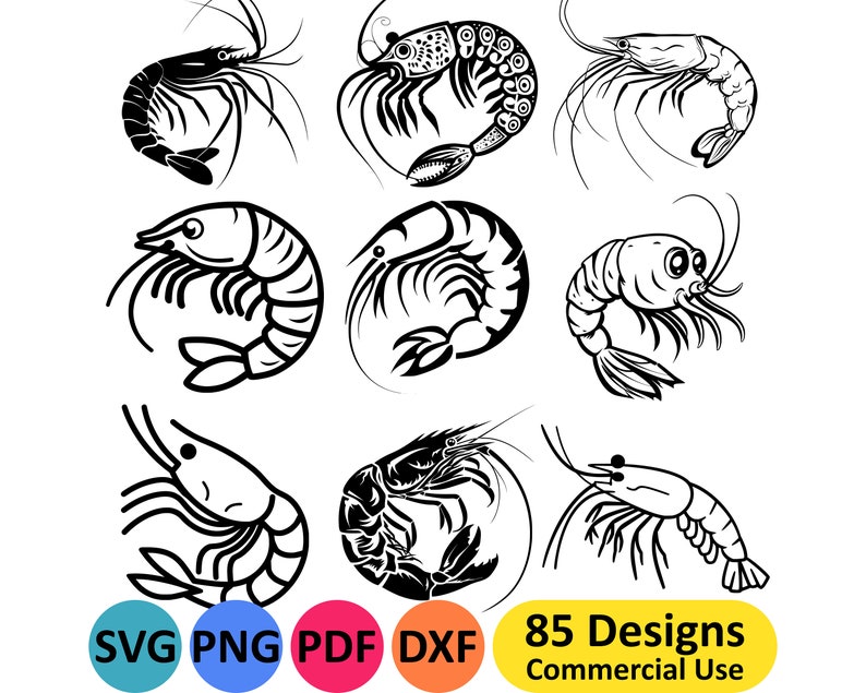Shrimp SVG Seafood Prawn PNG Drawing for Download, Printable Sea Creature Artwork, Crustacean ...